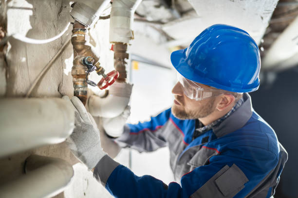 Best 24/7 Emergency Plumbing Services  in Pinckneyvle, IL